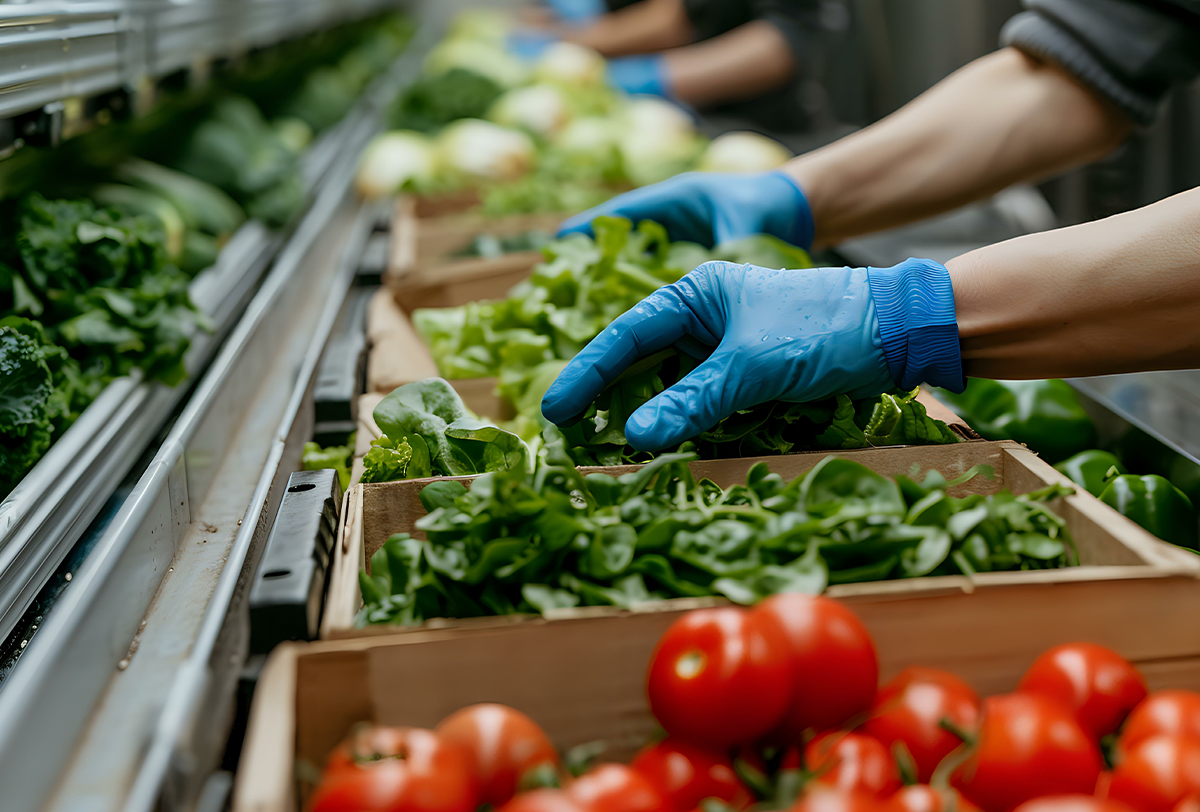 Z:\Shared\Marketing\MARKETING\Marketing Department Files\Content\InsideTrack\5 Hidden Costs in Your Supply Chain (And How to Eliminate Them with InsideTrack)