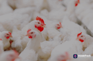 Commodity updates exclusively for InsideTrack users, powered by CommodityONE