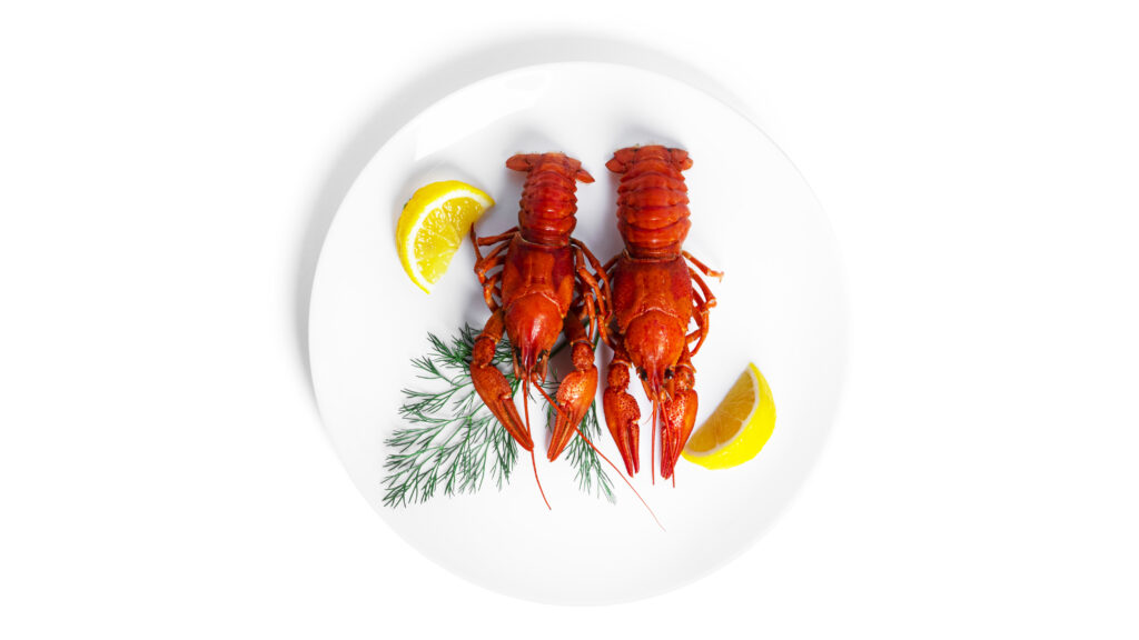 Cooked lobster served with garnished lemon slices on a plate.